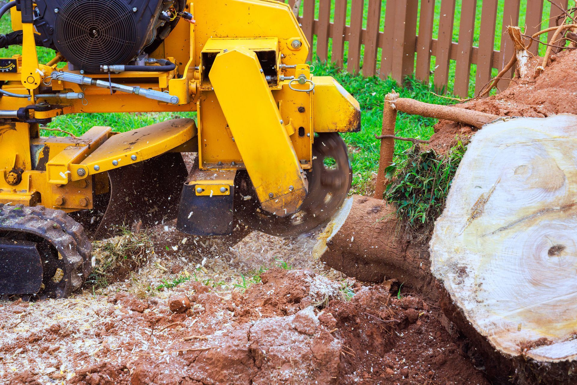 Yellow stump grinder grinding a tree stump in a yard, wood chips flying. Yellow stump grinder grinding a tree stump in a yard, wood chips flying.