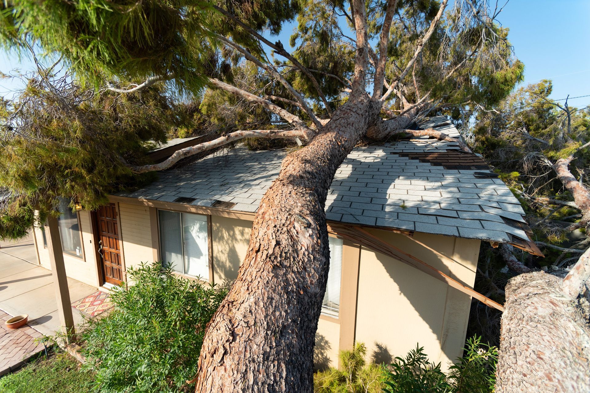 Tree fallen on a house roof, causing damage.