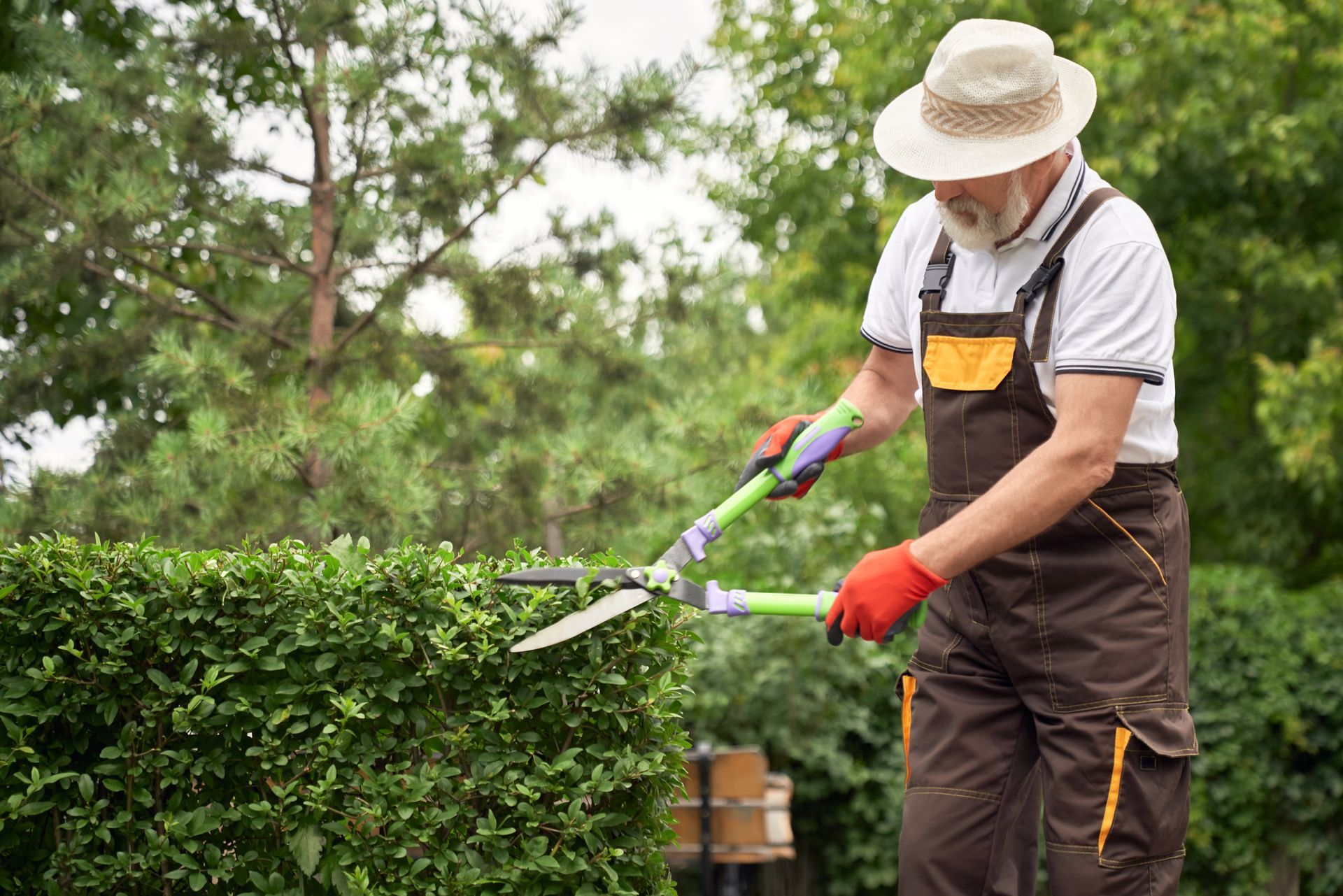 Man in overalls and straw hat trimming a hedge with shears outdoors.