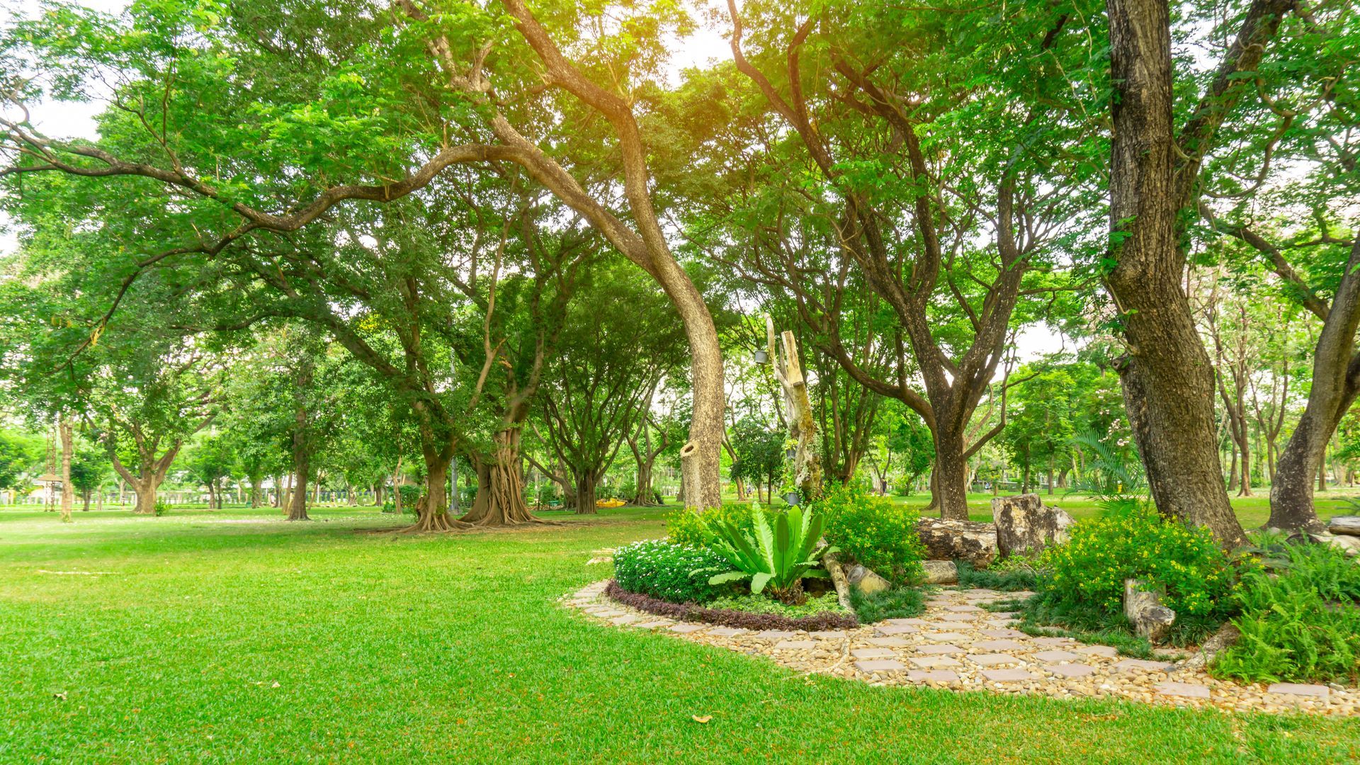 Lush green park with trees, grass, and a small garden with stone path. Sunlight shines. Lush green park with trees, grass, and a small garden with stone path. Sunlight shines.