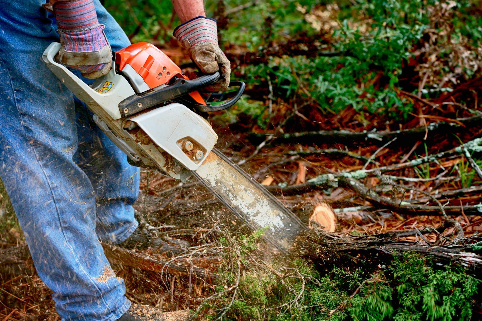 Person using a chainsaw to cut through a pile of branches outdoors. Person using a chainsaw to cut through a pile of branches outdoors.