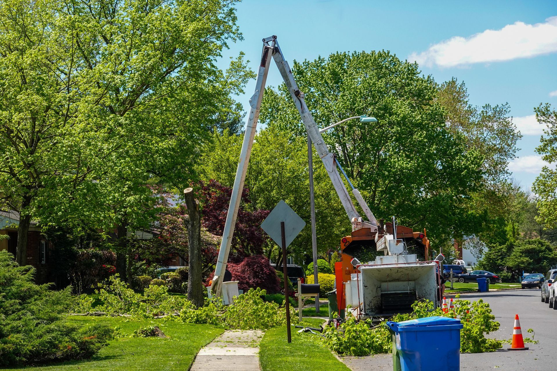 Tree trimming service: bucket truck with raised arms cutting tree branches on a sunny residential street. Tree trimming service: bucket truck with raised arms cutting tree branches on a sunny residential street.