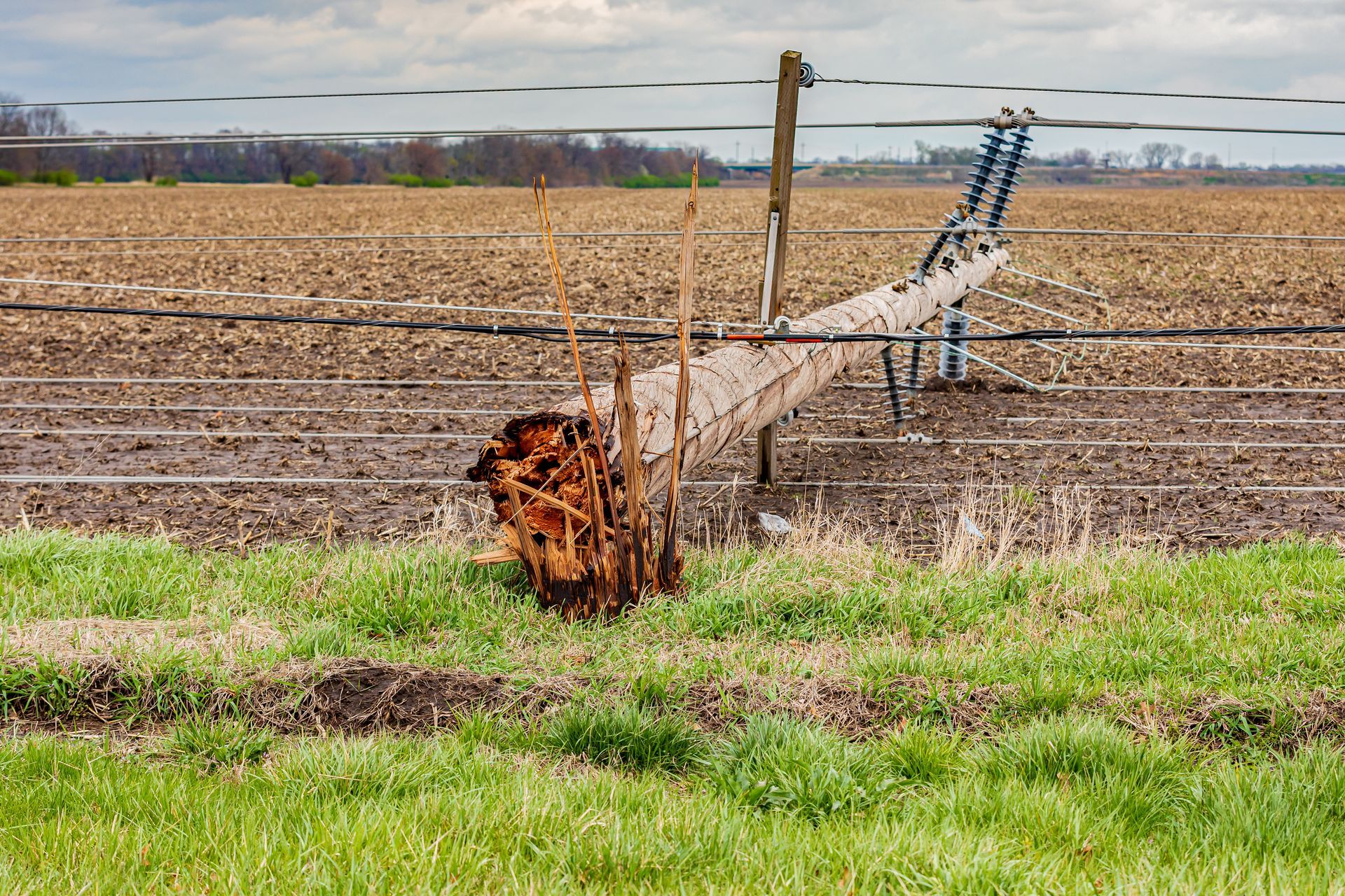 Fallen wooden pole in a field, wires strung above, with grass in the foreground and a plowed field in the background.