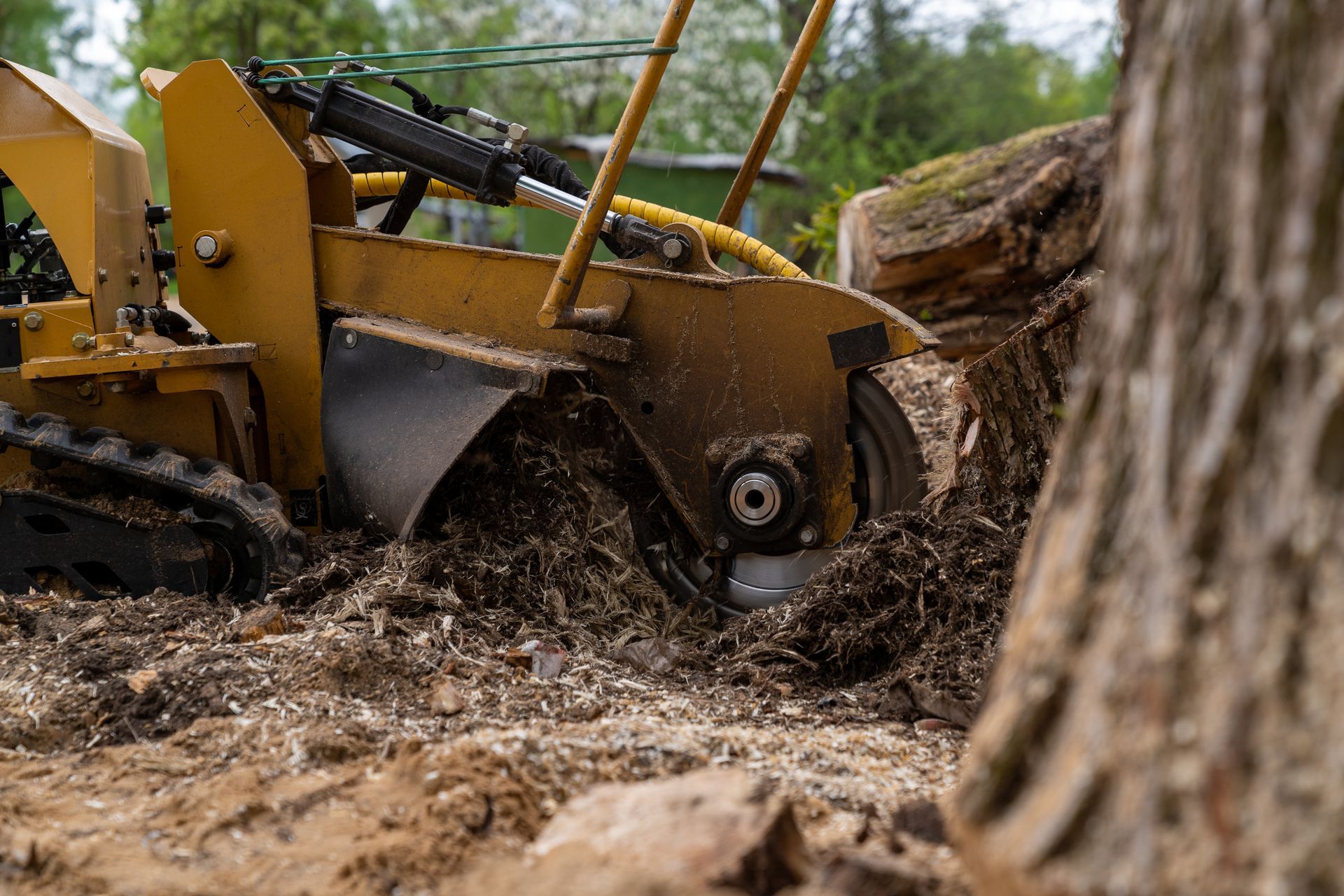 Yellow stump grinder grinding a tree stump into wood chips. Yellow stump grinder grinding a tree stump into wood chips.