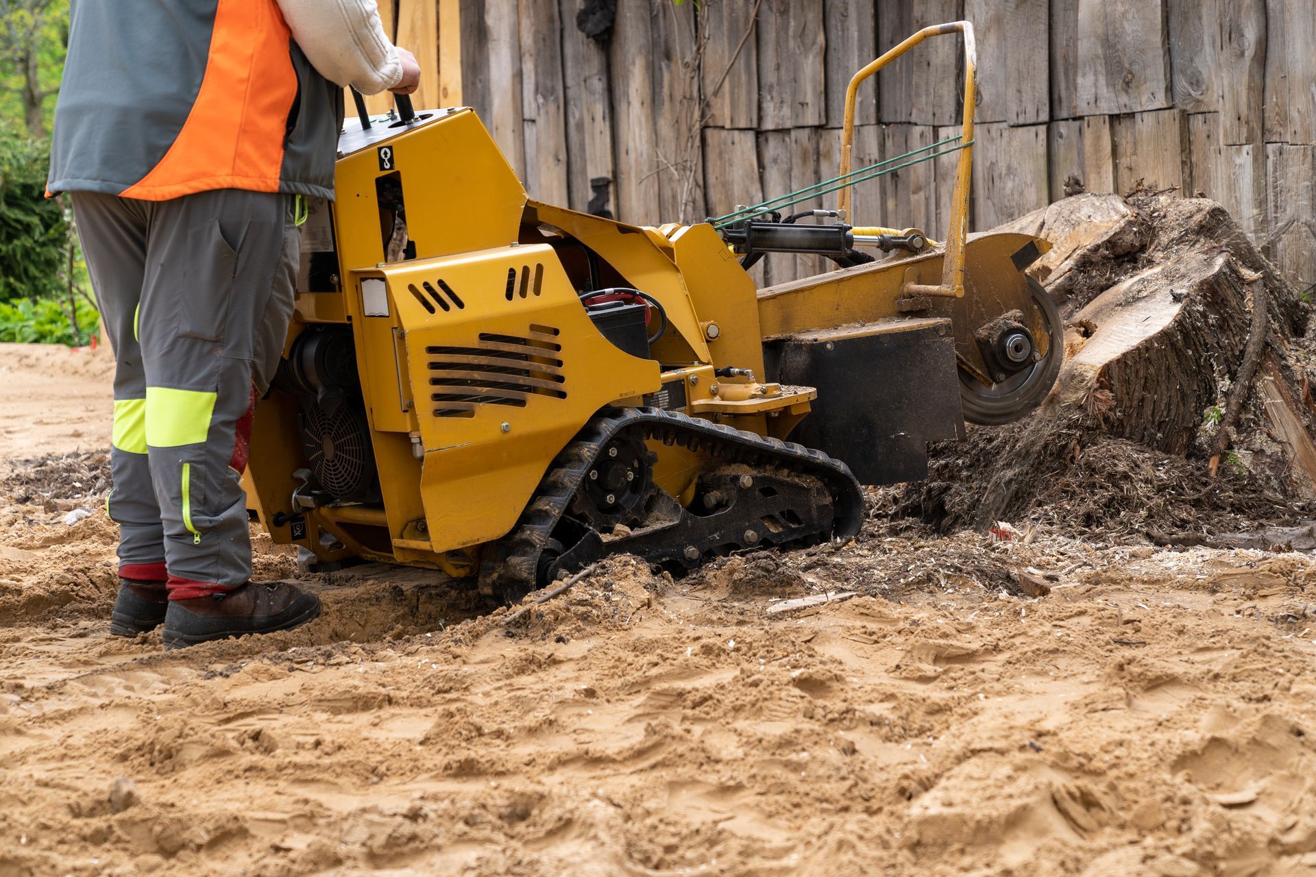 Yellow stump grinder in use, operator wearing orange safety vest. Wood chips and tree stump.