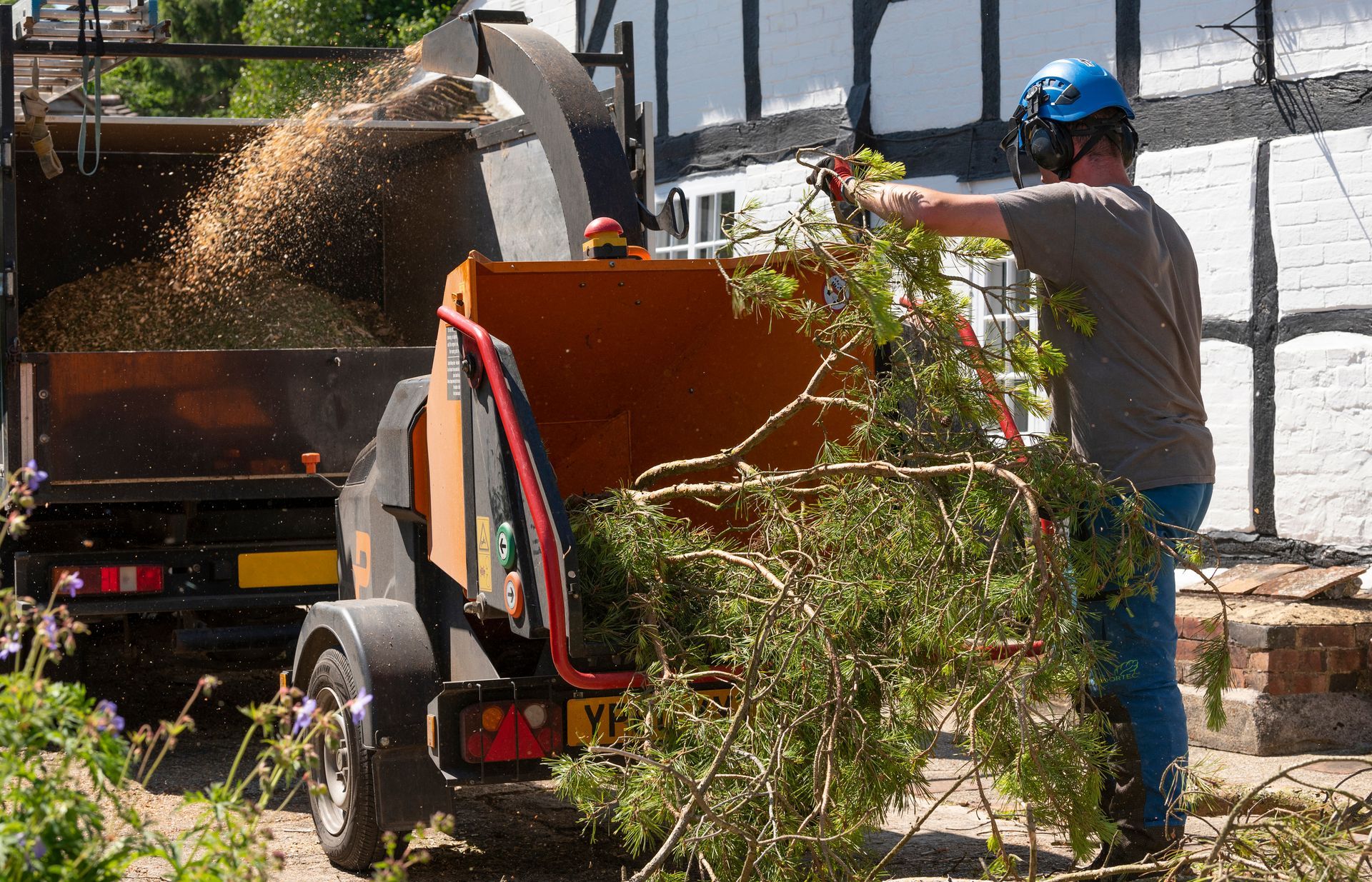 Man feeds branches into a wood chipper; chips flying. A trailer with the machine sits outside a building. Man feeds branches into a wood chipper; chips flying. A trailer with the machine sits outside a building.