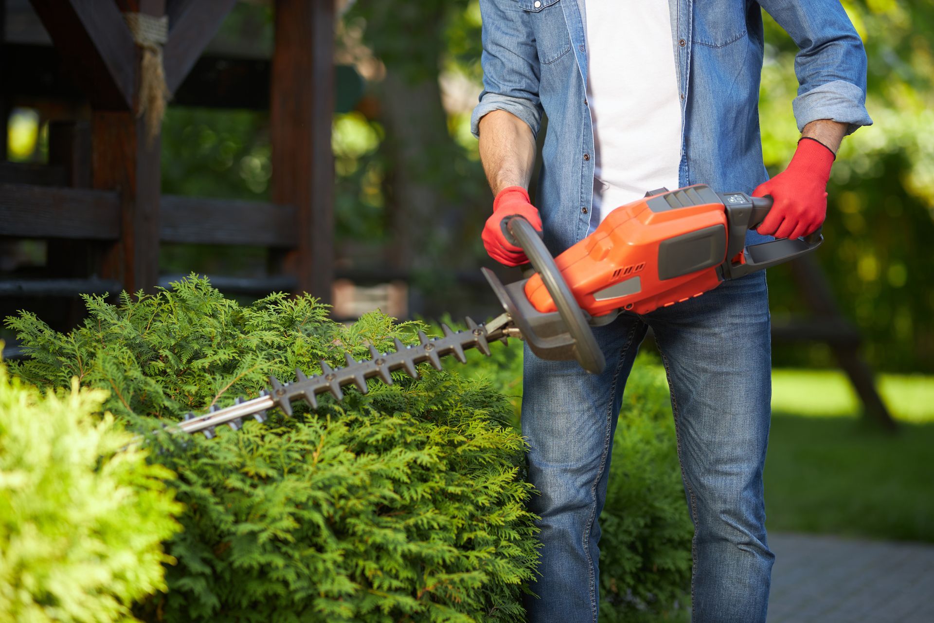 Person using an orange hedge trimmer to trim a green bush outdoors. Person using an orange hedge trimmer to trim a green bush outdoors.