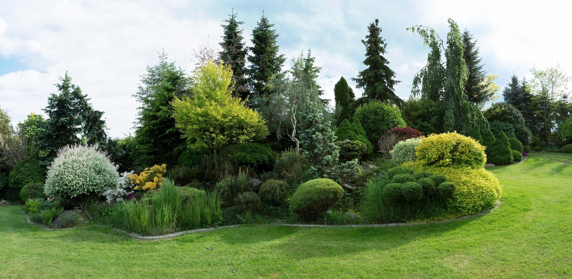A lush garden bed with various green shrubs, trees, and grass under a cloudy sky.