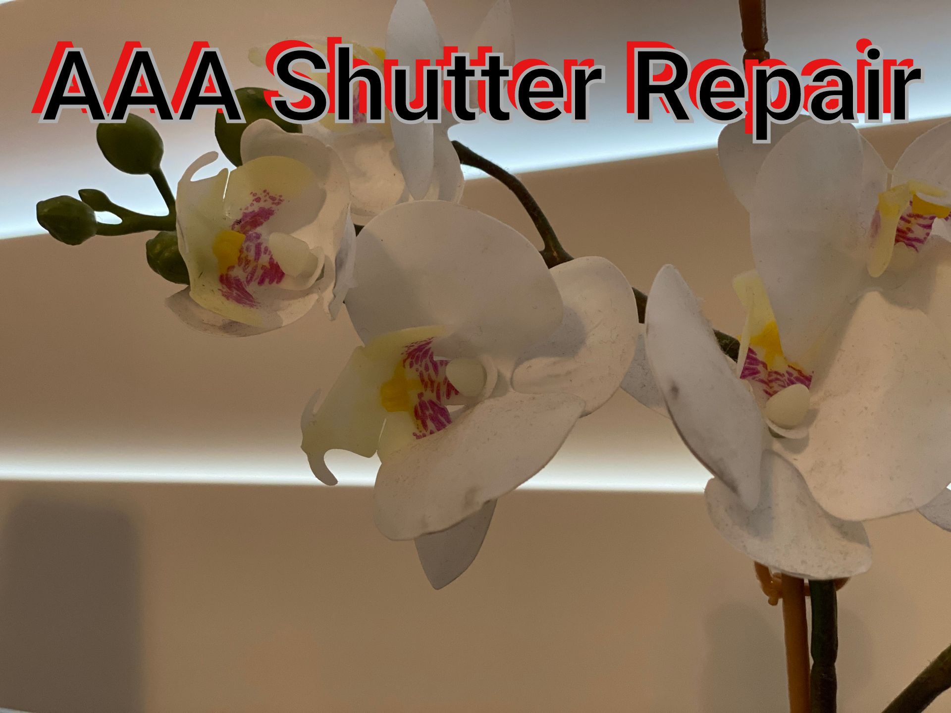 AAA Shutter Repair 
