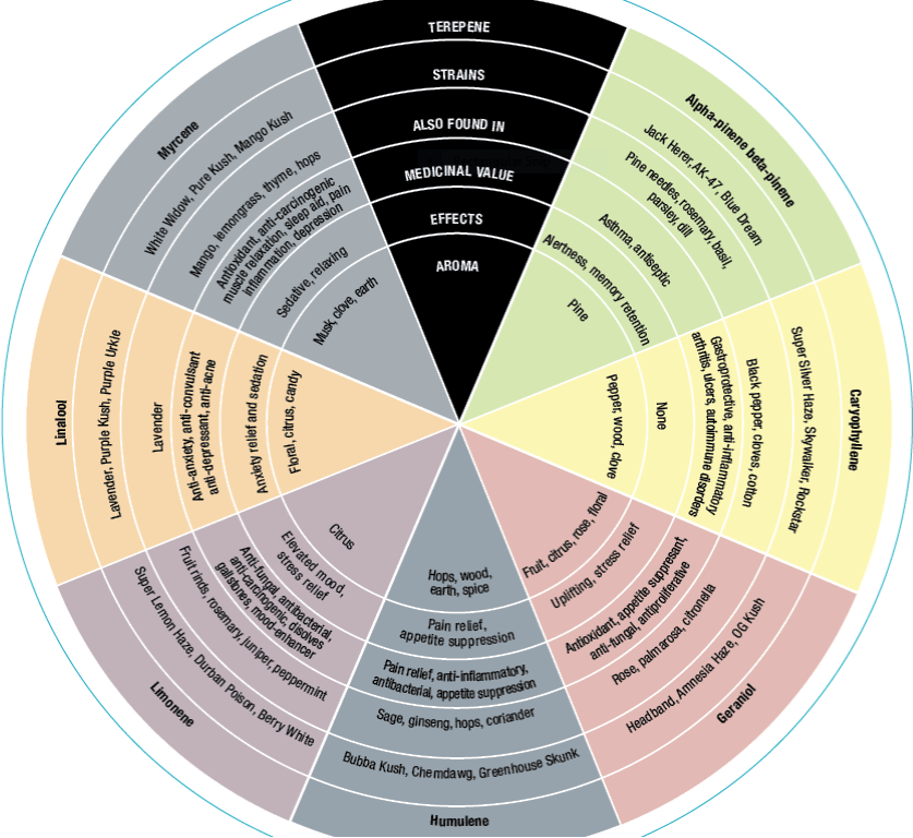 TERPENEN CIRCEL