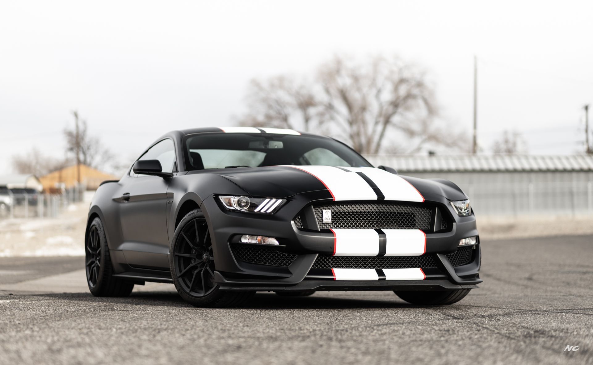 Black Ford Mustang with white racing stripes on a paved road, daytime.