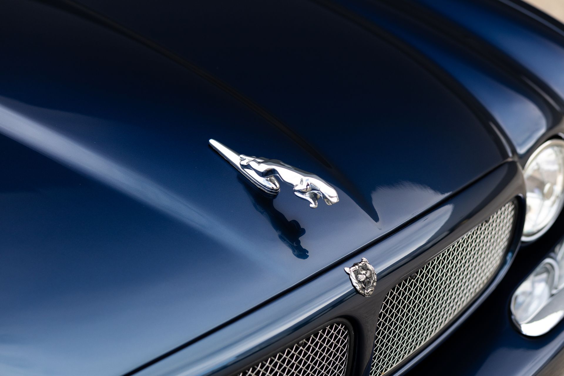 Dark blue Jaguar car hood with chrome emblem, headlight, and grill.