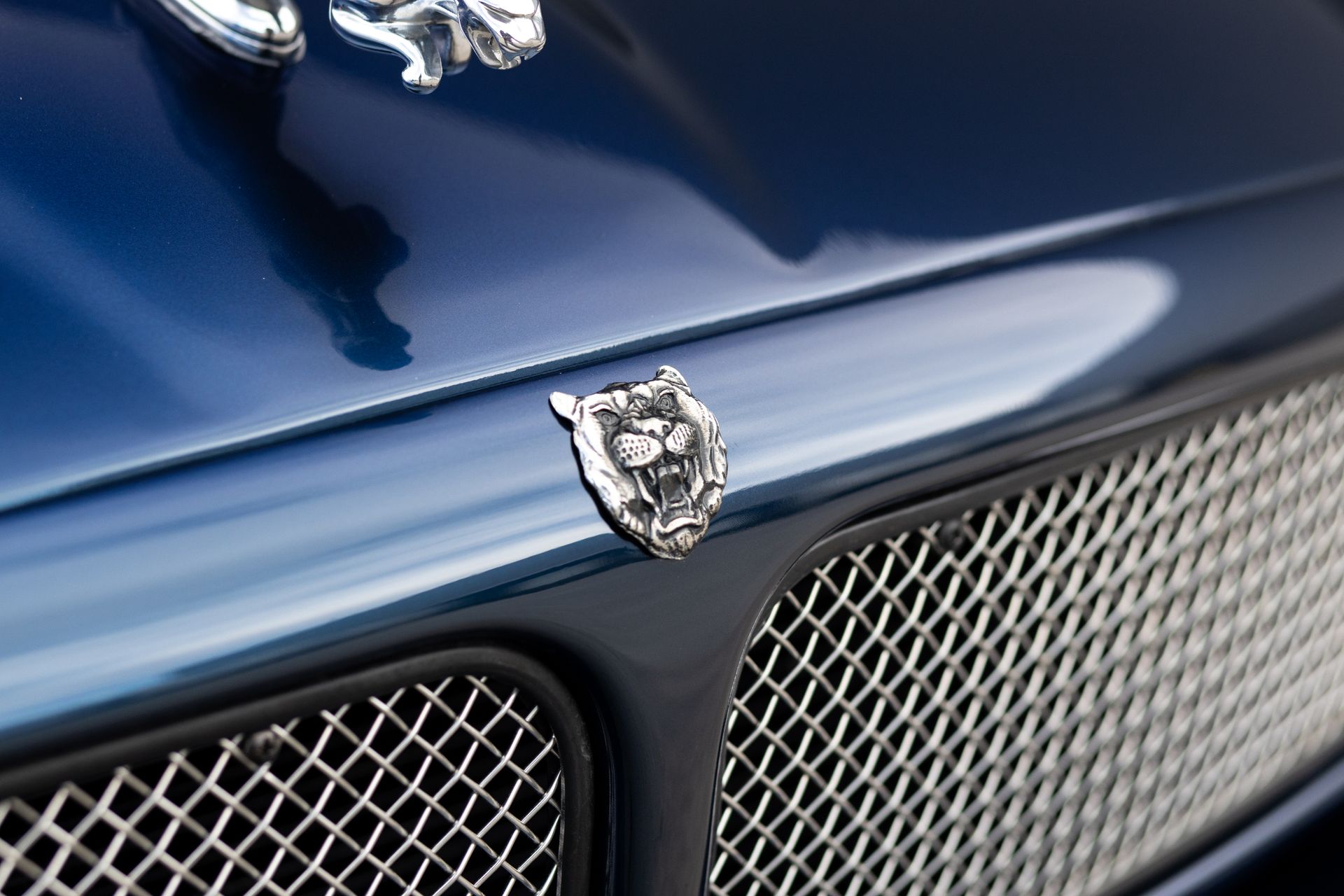 Blue Jaguar car hood with chrome grill and silver emblem.