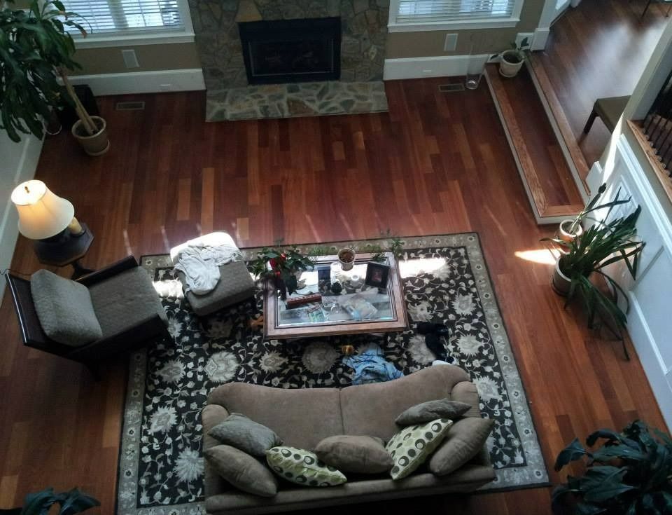 Living room: Brown wood floors, sofa, armchair, rug, coffee table, fireplace, potted plants.