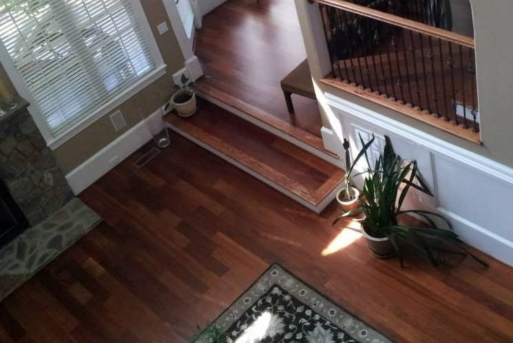 Hardwood floor, open doorway with step, view from above with a potted snake plant.