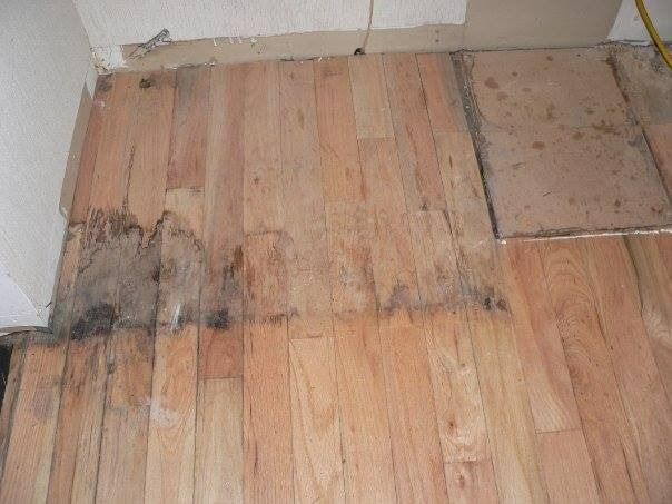Damaged wooden floor with water damage and dark staining near a wall.