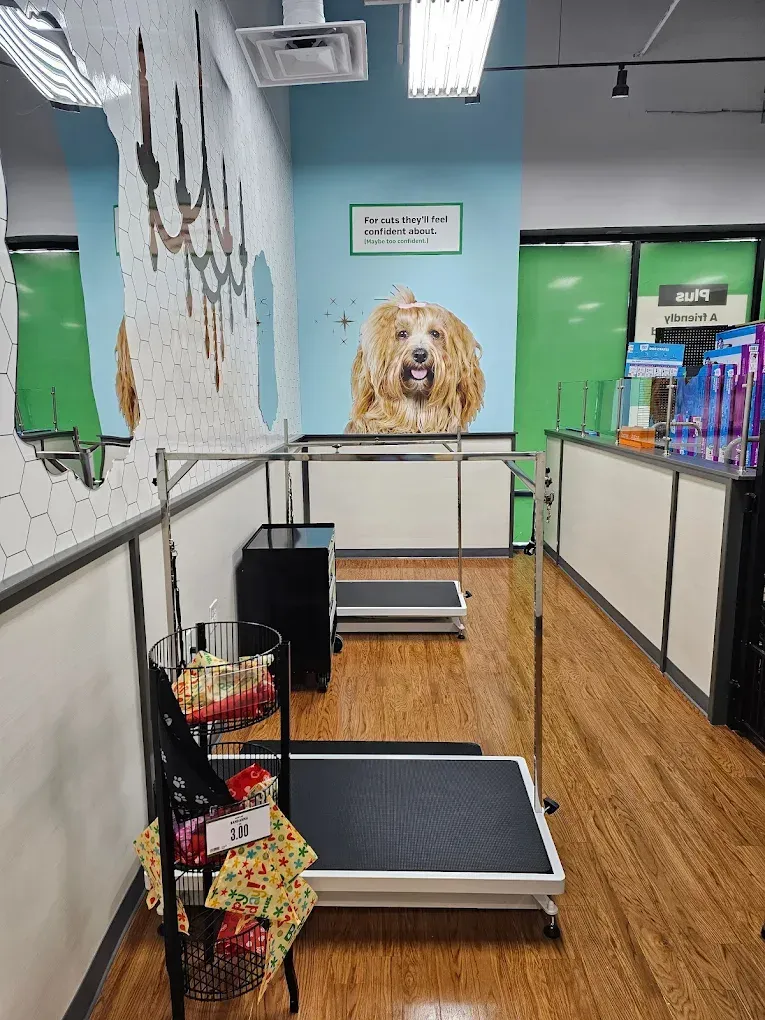 An indoor grooming station with a grooming table, metal racks, a gold doodle wall decal, and a view into a service area.