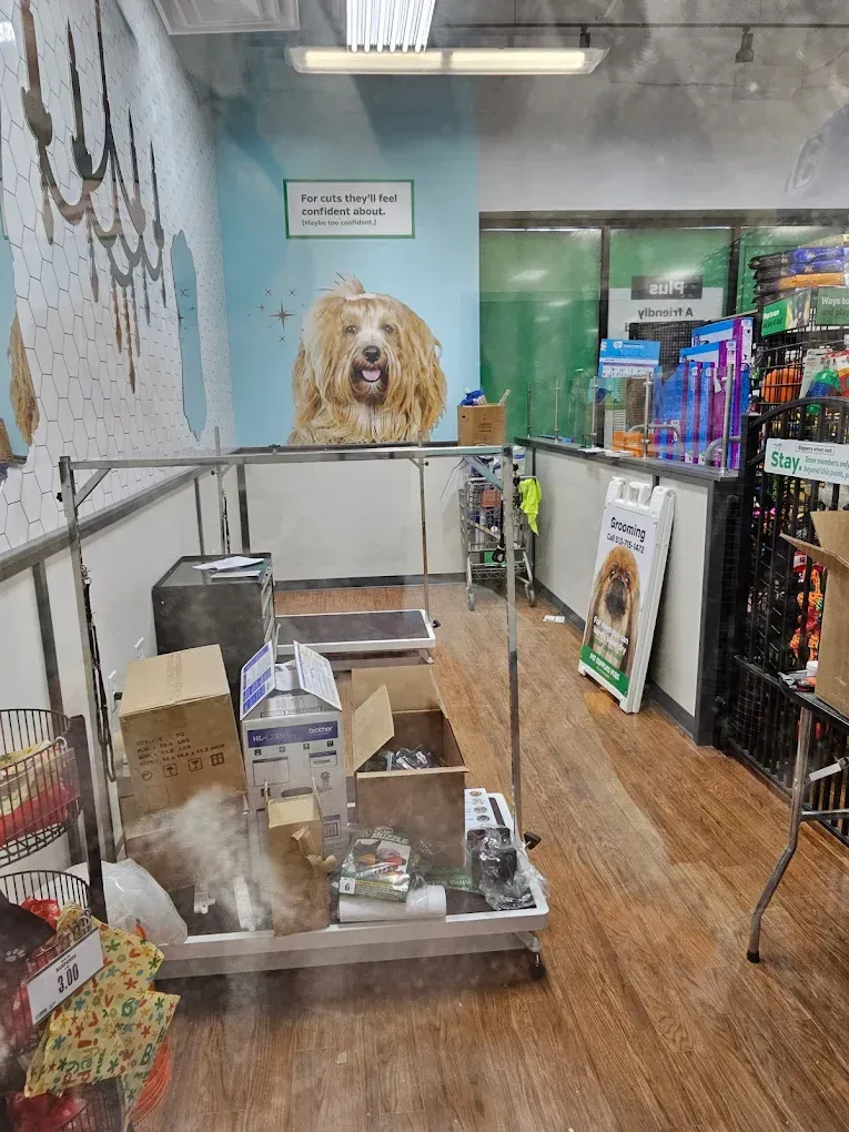 Dog grooming shop interior with grooming table, products, and a fluffy dog statue.