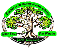Leaf Legends LLC | Tree Service in St Cloud, MN
