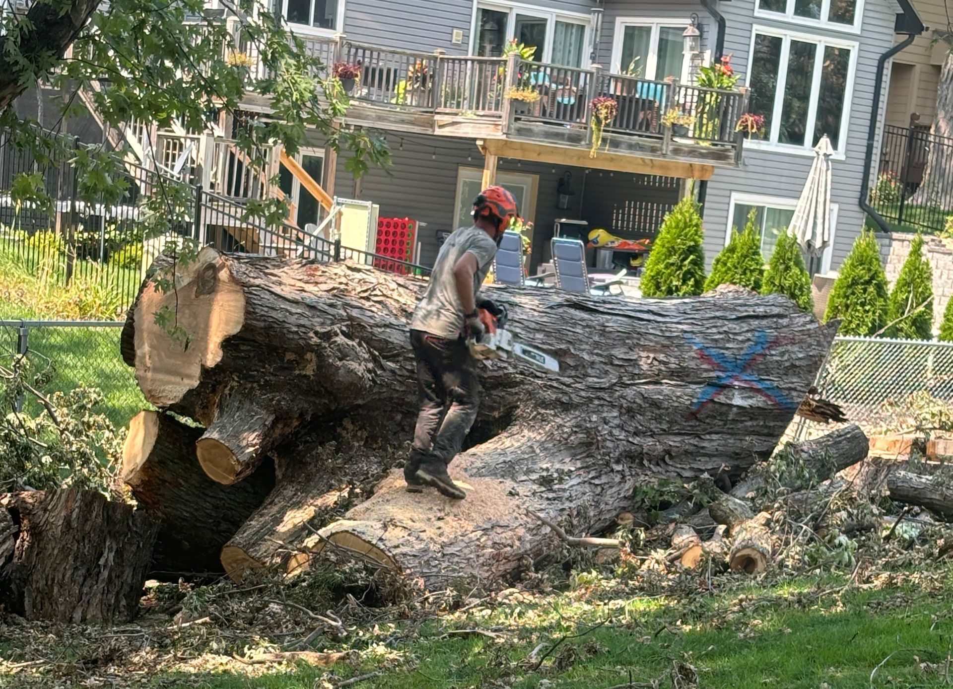 Tree Removal in St. Cloud, MN