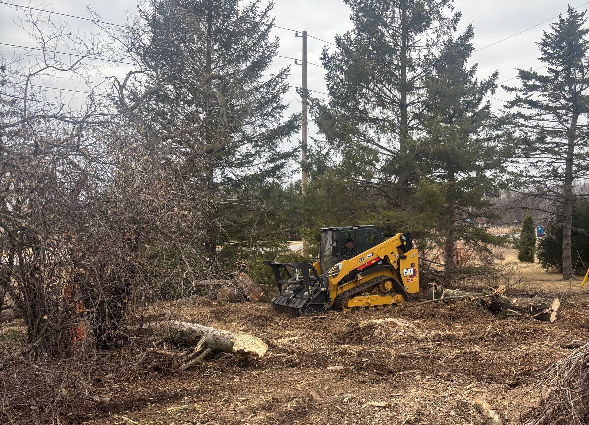Land Clearing in St. Cloud, MN