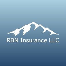 RBN Insurance LLC logo: abstract silver mountains over company name on blue gradient background.