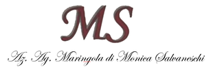 Azienda Agricola Maringola logo