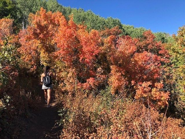 A woman is walking through a forest with trees that are changing colors.