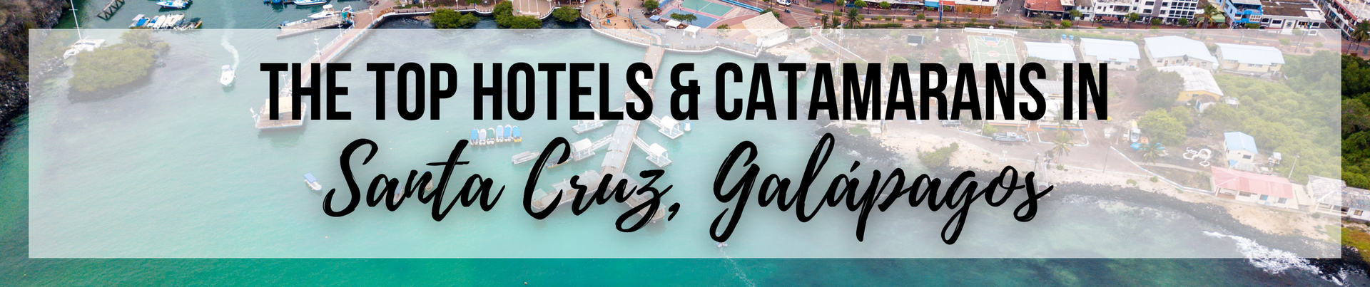 The top hotels and catamarans in santa cruz galapagos