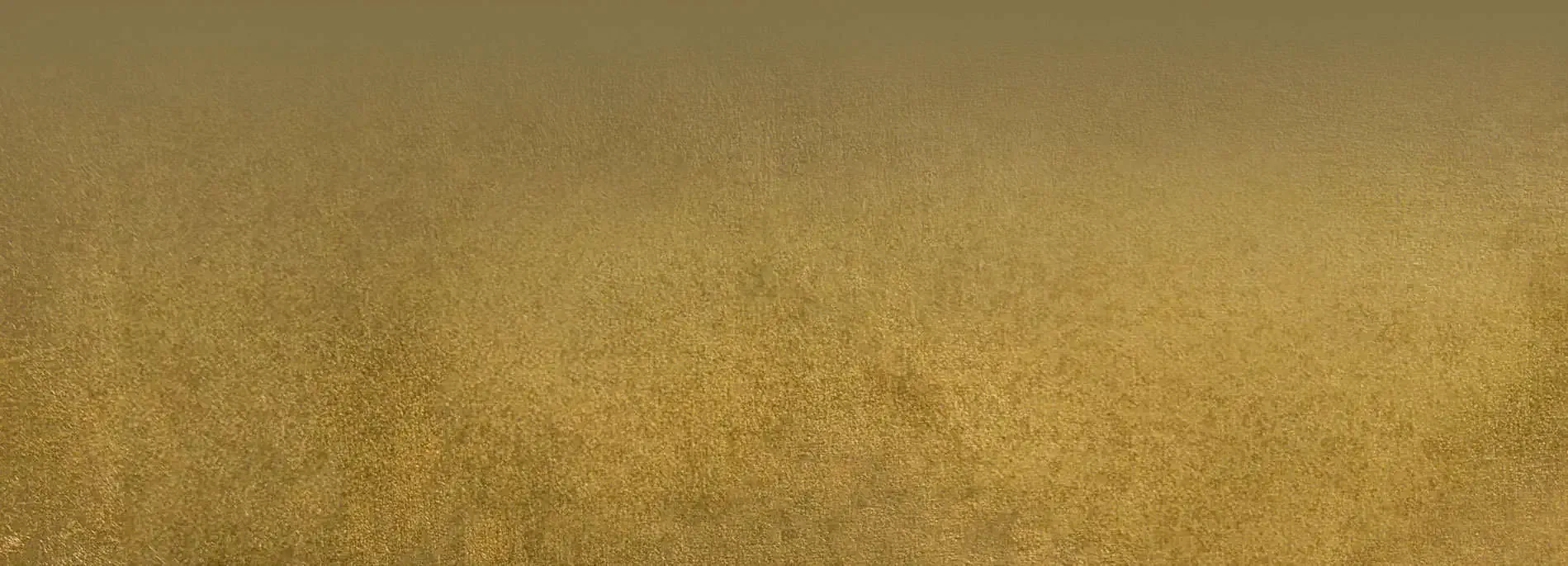 Richer Soul-Life beyond money poster | Elgin, IL | 'I' in Team Series By IA Business Advisors