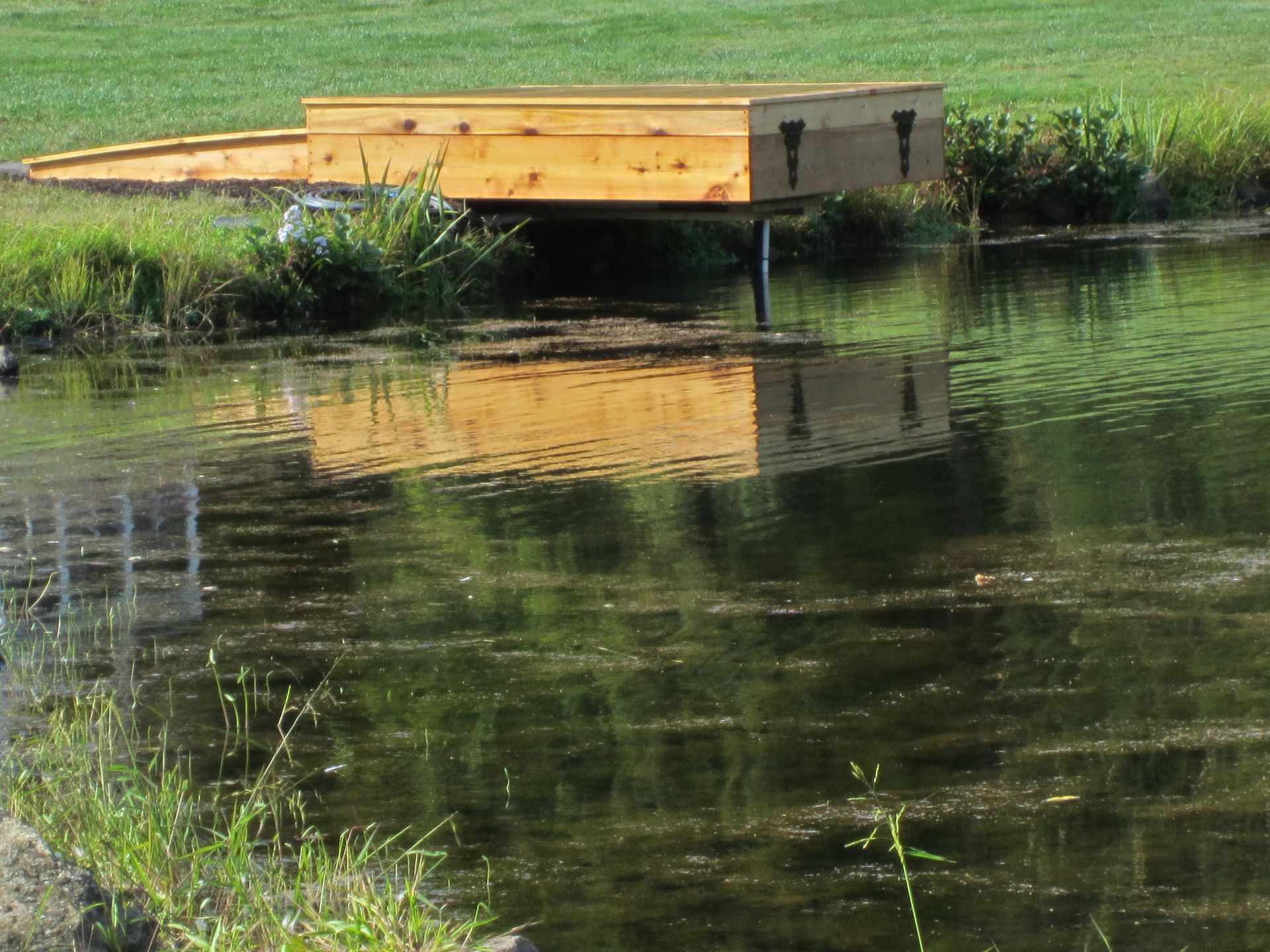 Wooden structure over murky pond, reflecting in water.