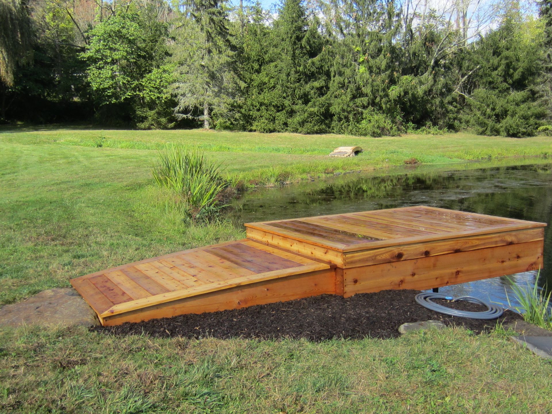 Wooden ramp and platform leading into a pond, surrounded by grass and trees.