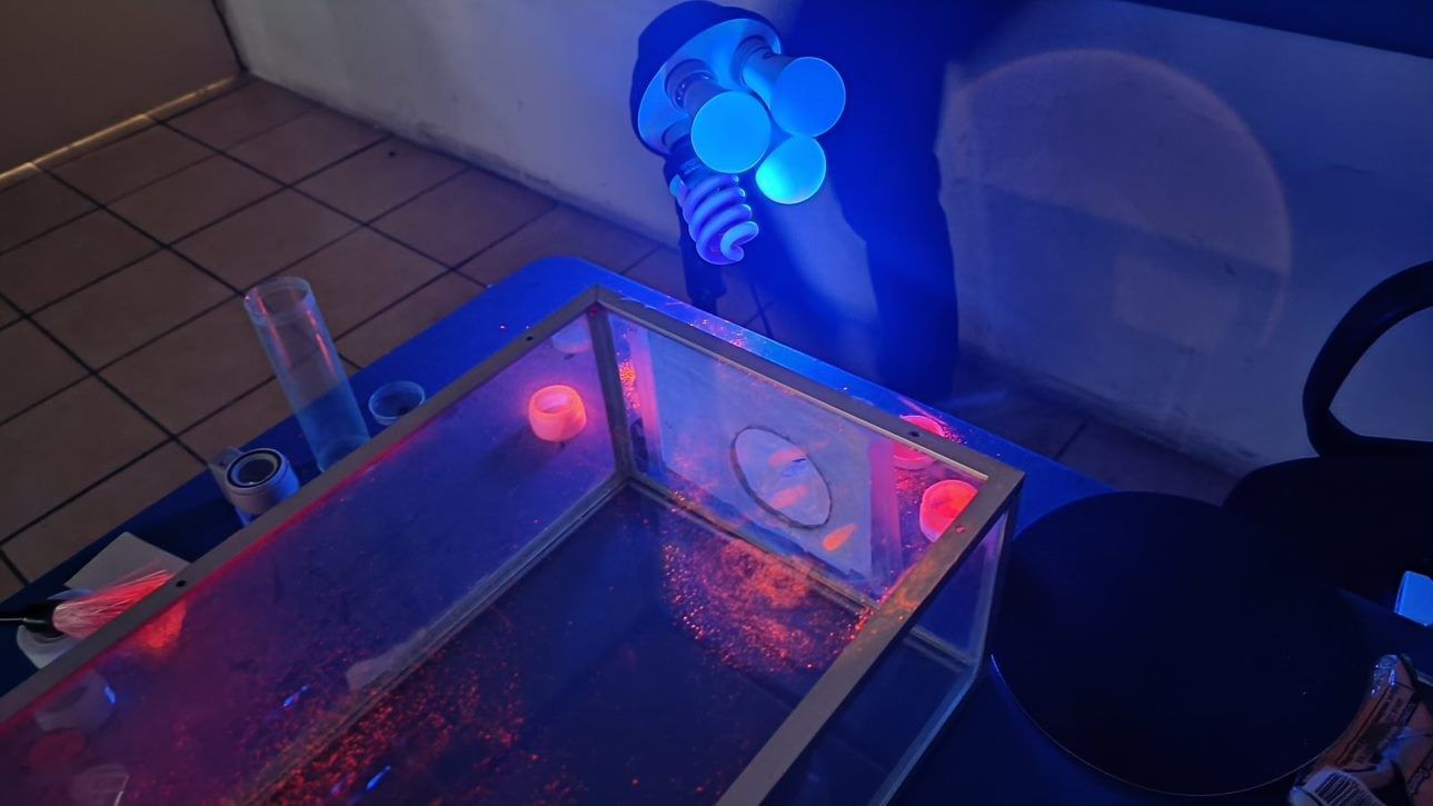 ASESORÍA Y REPRESENTACIÓN LEGAL VVV