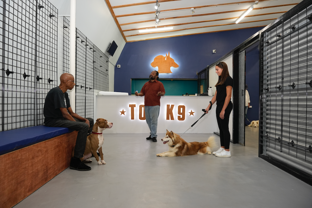 A man and a woman are standing next to two dogs in a room.