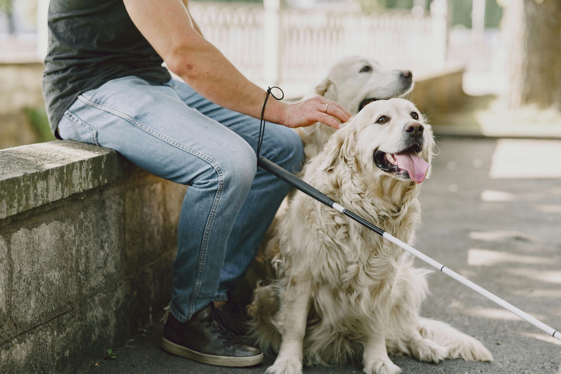 A man is sitting next to a blind dog on a leash.