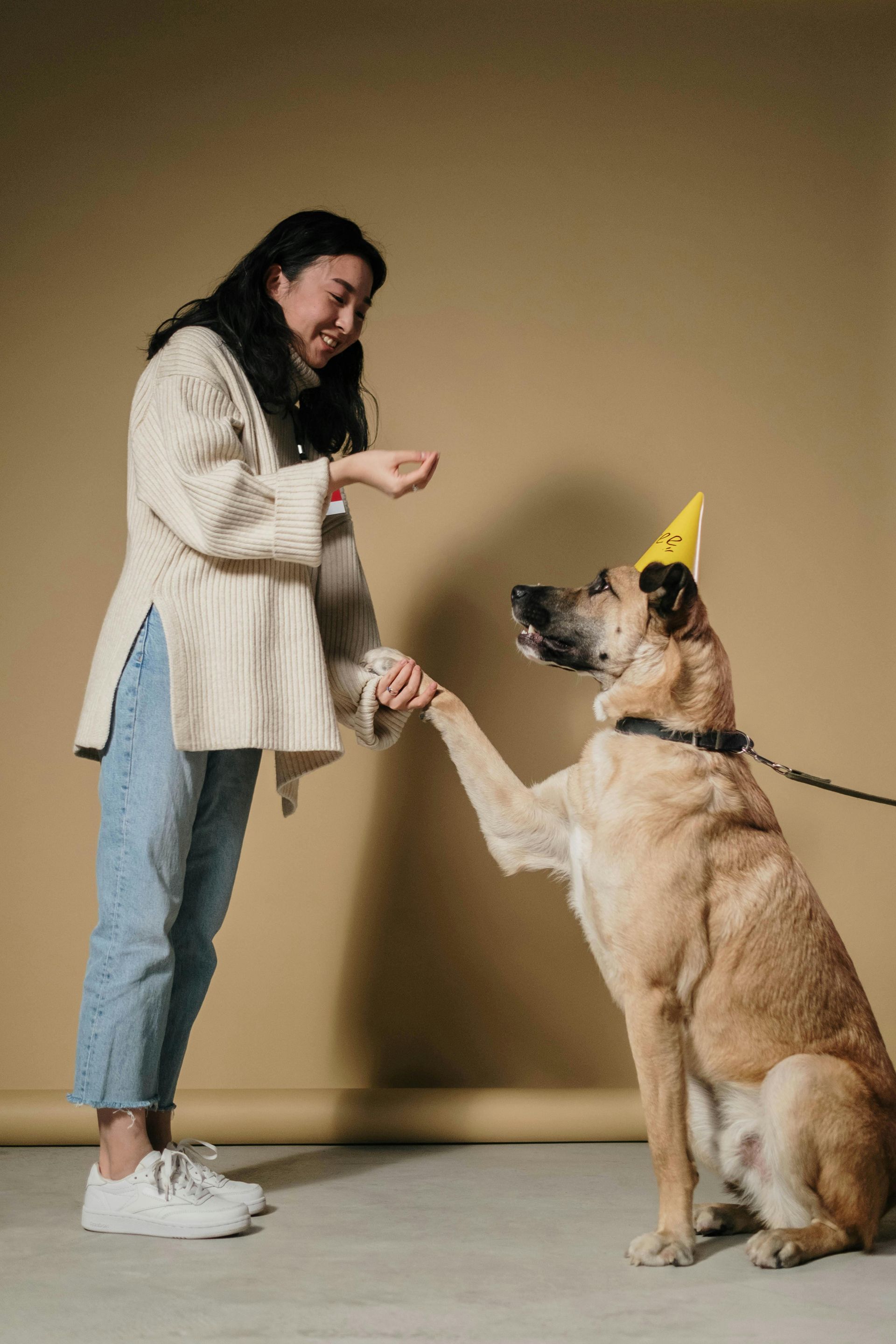 A woman is giving a dog a high five while the dog is wearing a party hat.