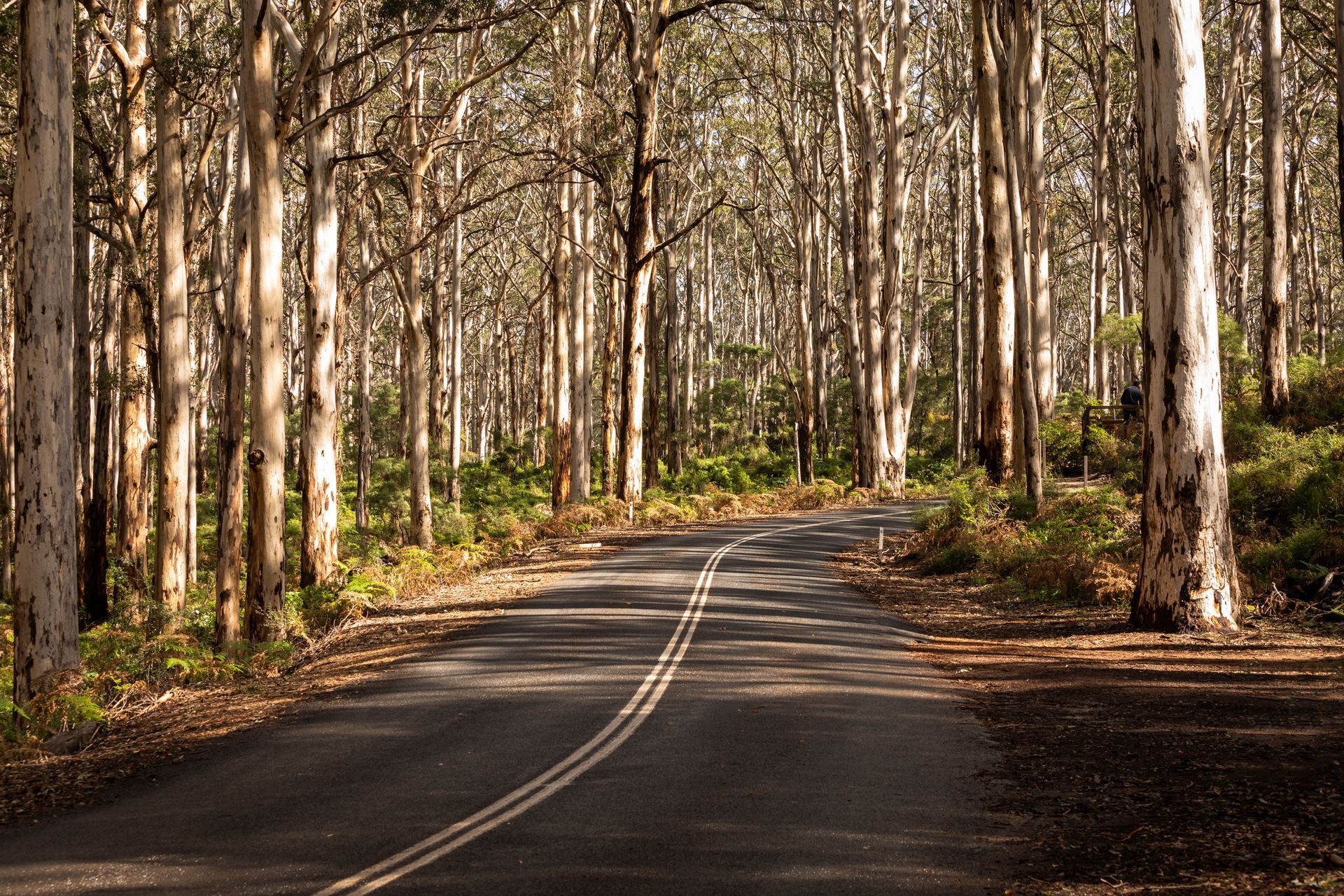 A sunset over a mountain range with a lot of fog