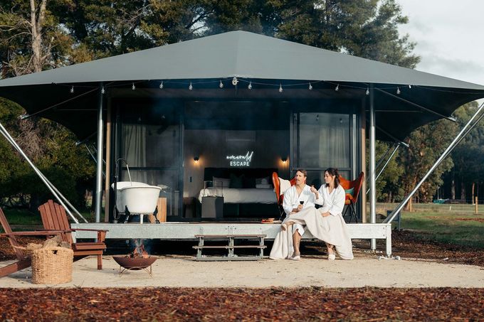 A bathroom with a toilet , sink and shower.