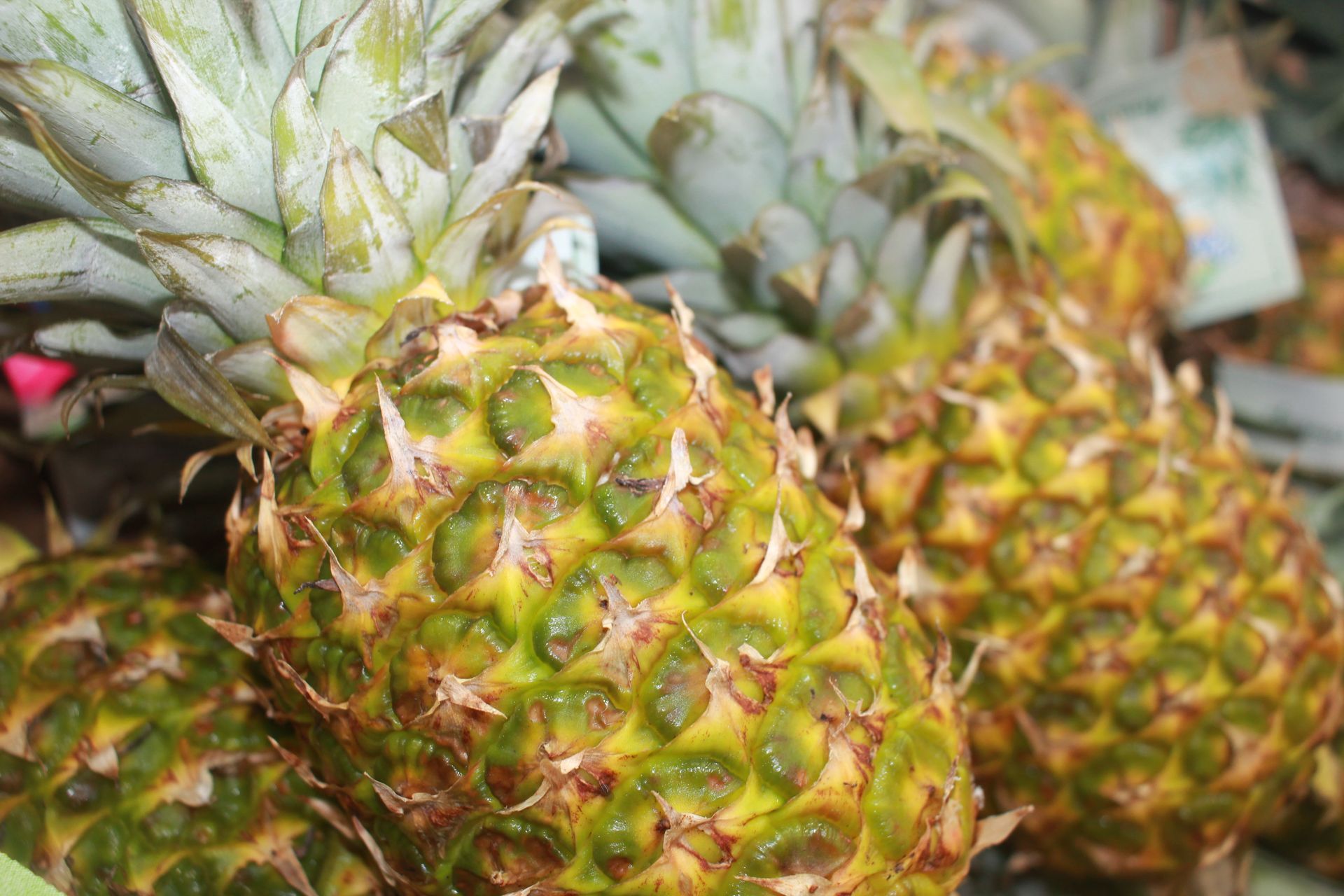 Un mazzo di ananas è appoggiato uno sopra l'altro su un tavolo.