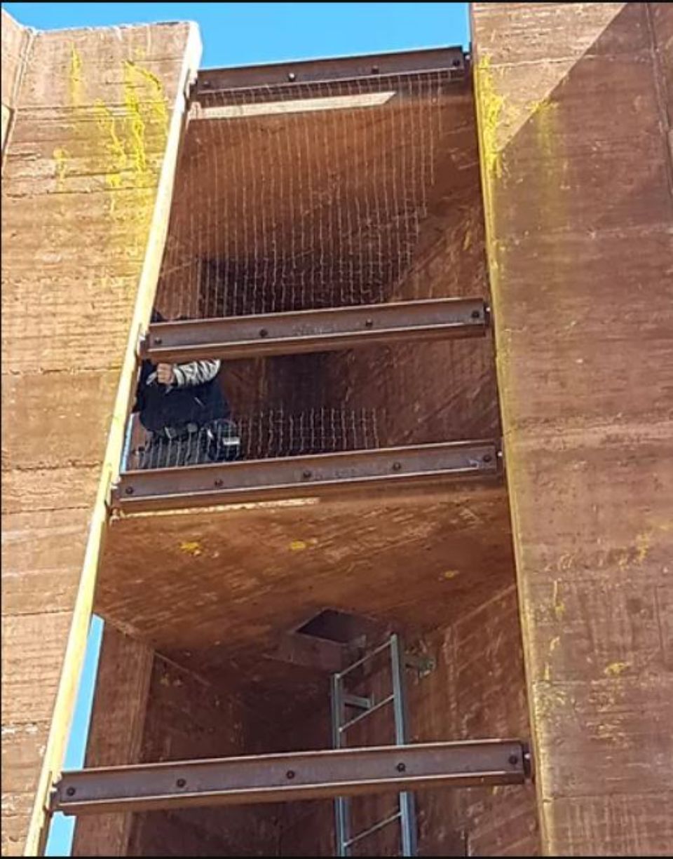 rete per impedire l'ingresso dei volatili