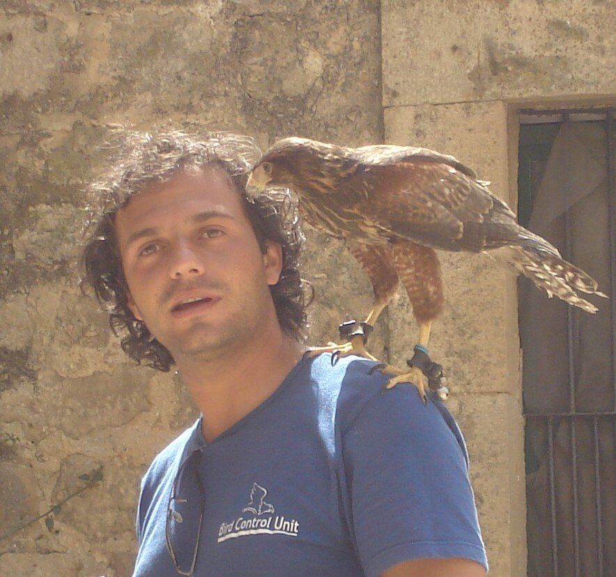 Falcone sulla spalla