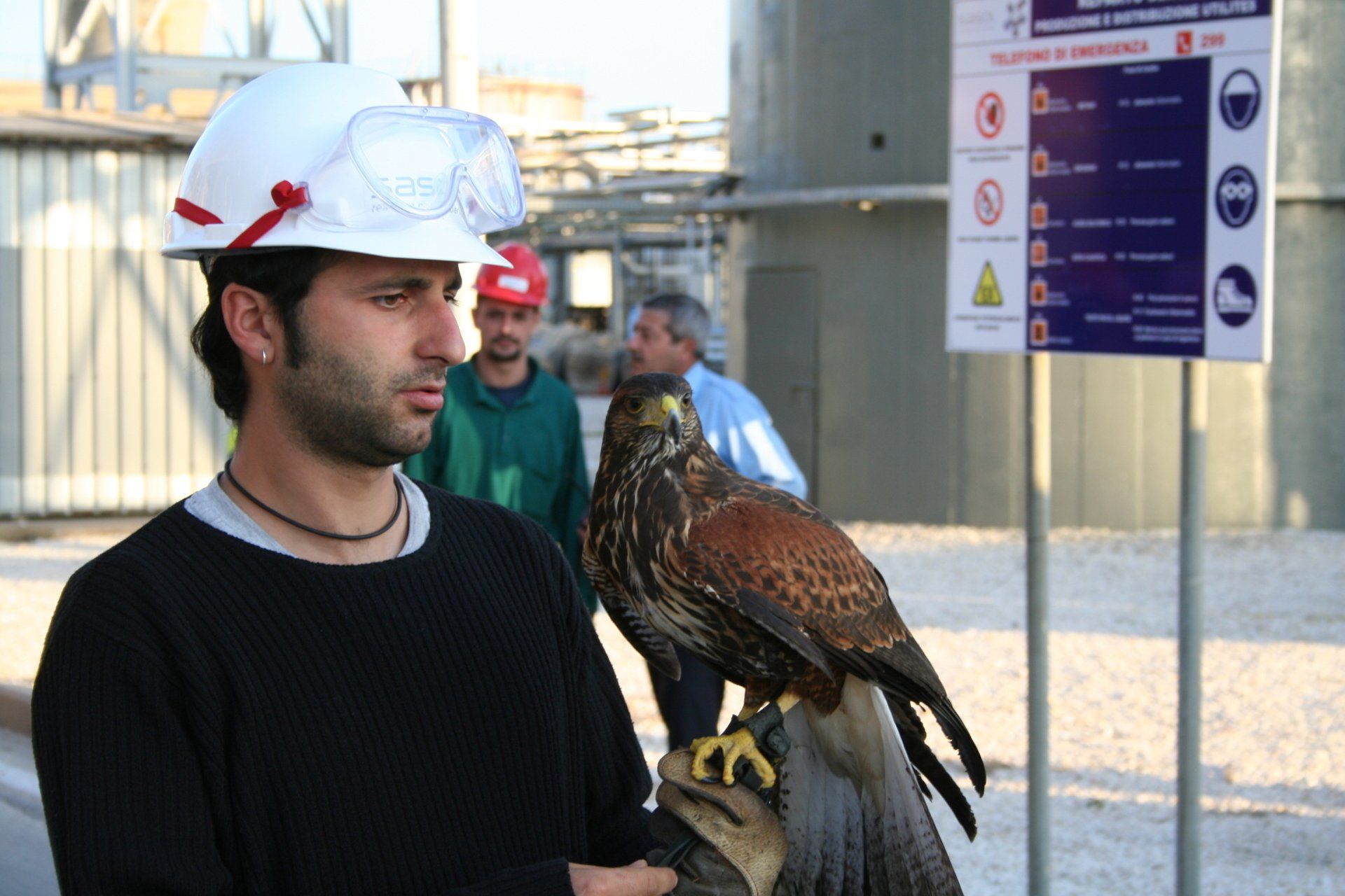 operatore con falcone