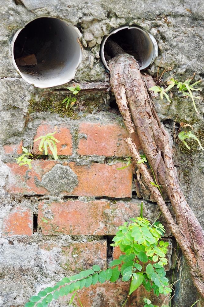 A Brick Wall With Two Pipes Coming Out of It — Accredited Plumbing in Narrawallee, NSW