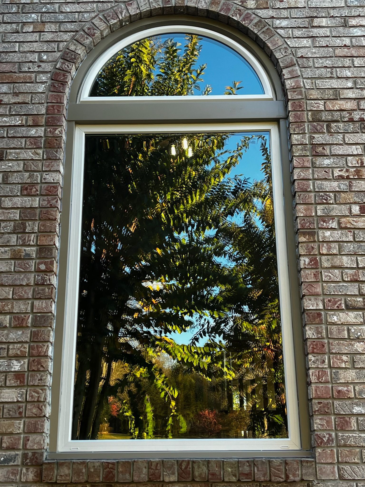 A window on a brick wall with trees reflected in it