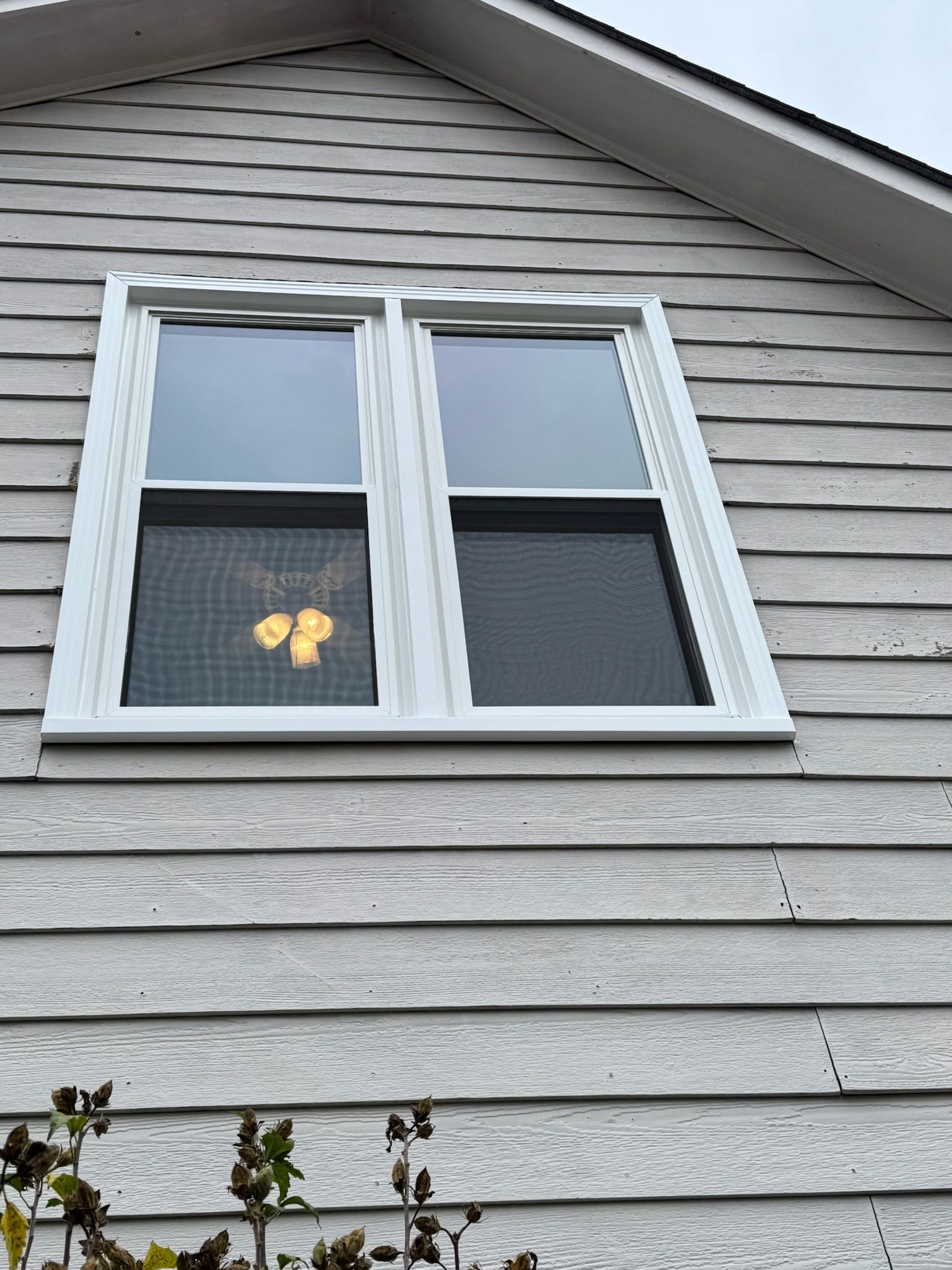 A cat is looking out of a window on the side of a house.