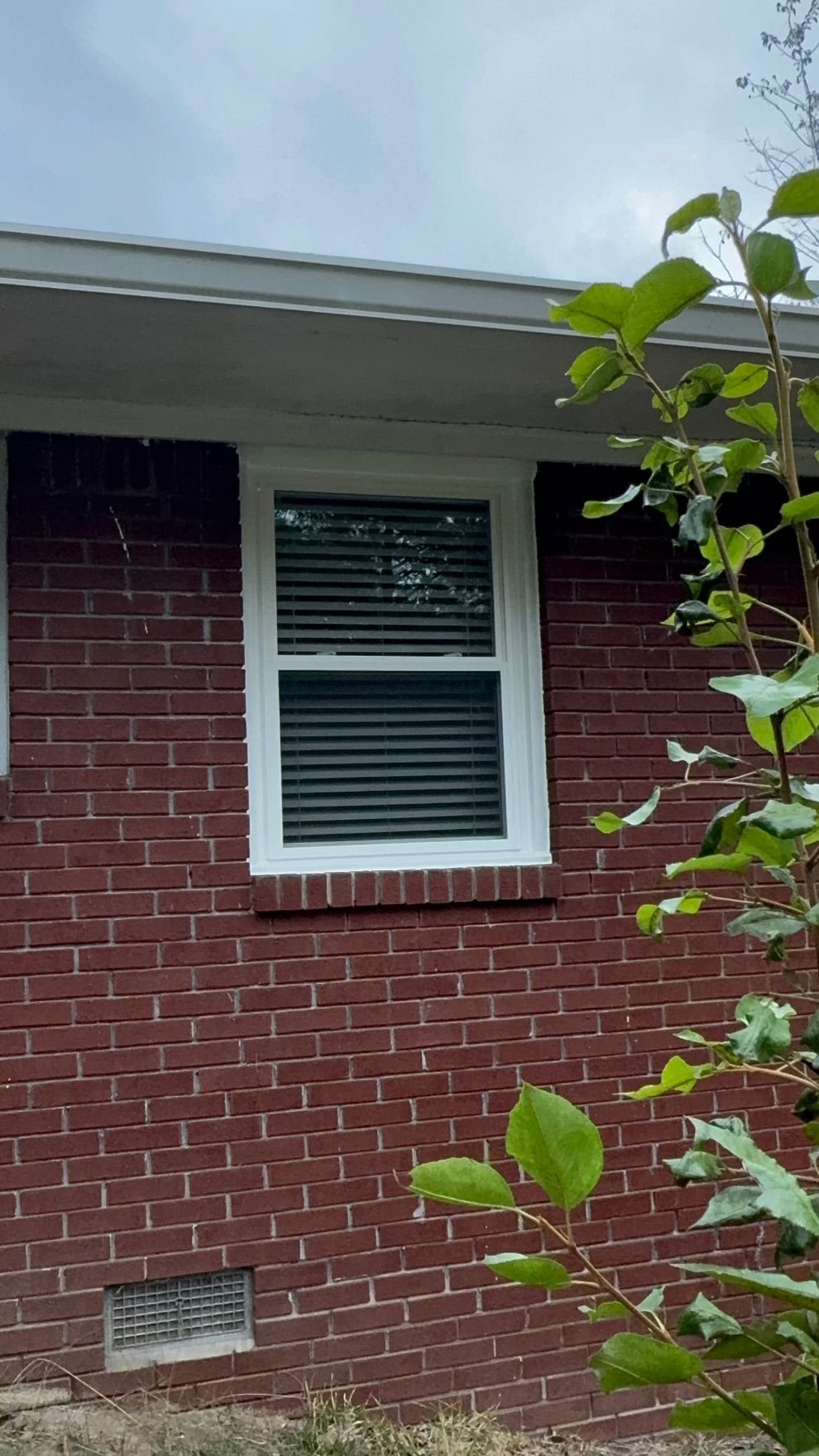 A red brick house with a white window and a tree in front of it.