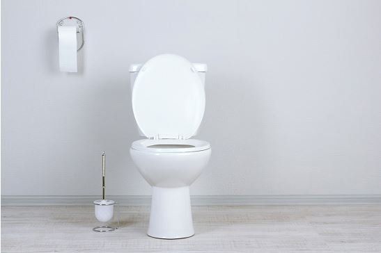 Toilet — White Toilet Bowl in Seattle, WA