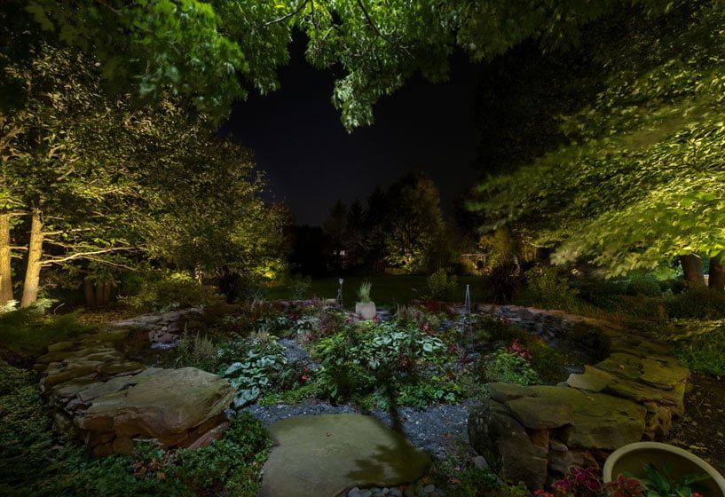 A garden is lit up at night with trees and rocks.