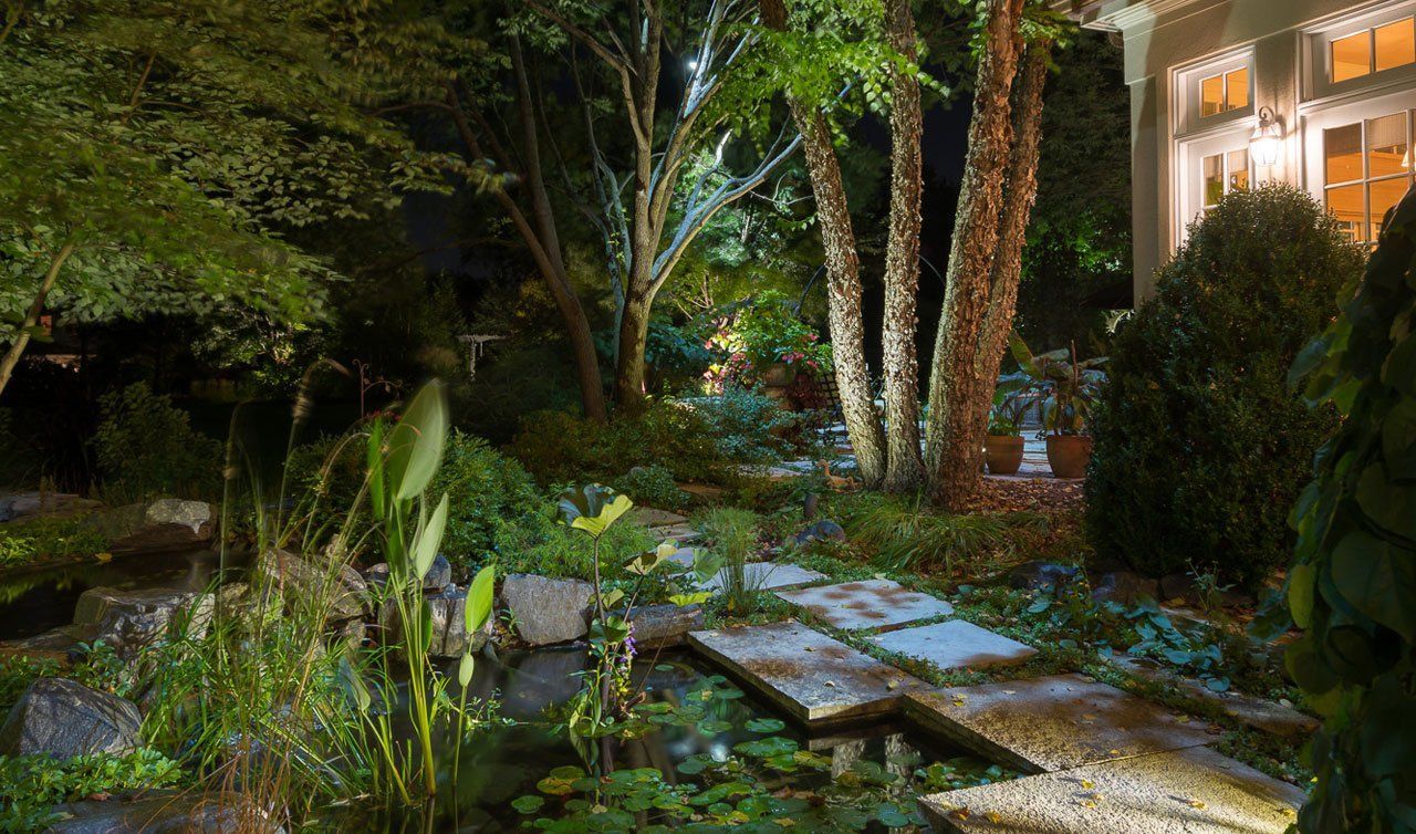 A garden with a pond and trees at night with a house in the background.