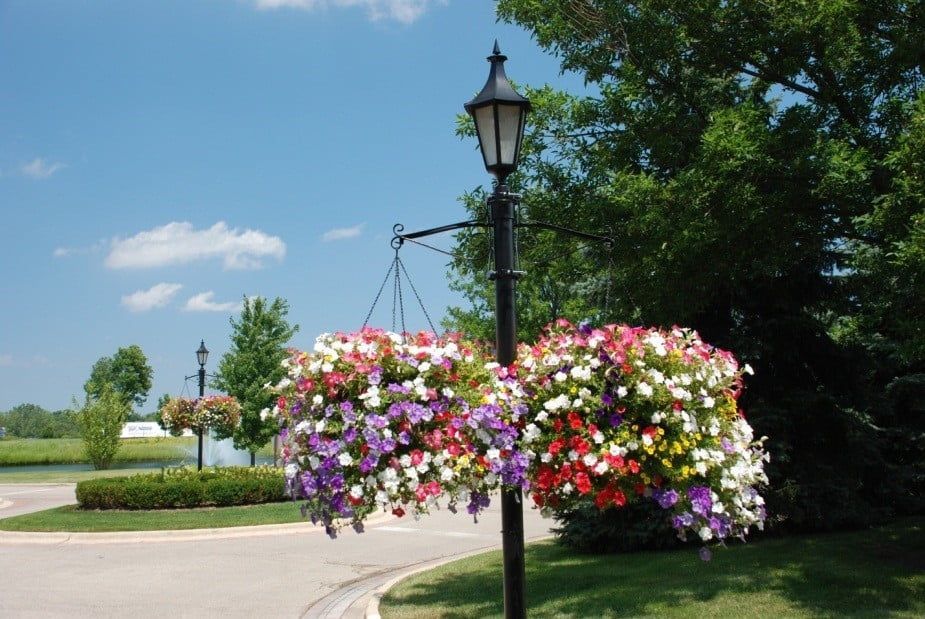 A lamp post with hanging baskets of flowers on it